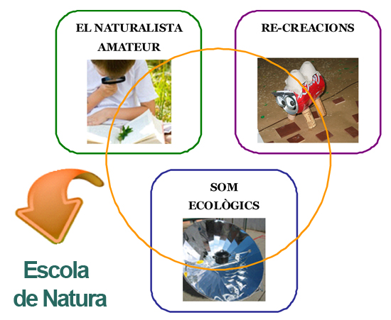 Activitats Extraescolars