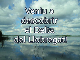 Veniu a descobrir el Delta del Llobregat!