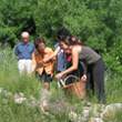 Taller Planta amb el teu Compost